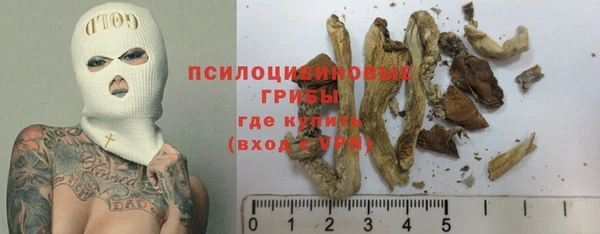 МДПВ Заволжск