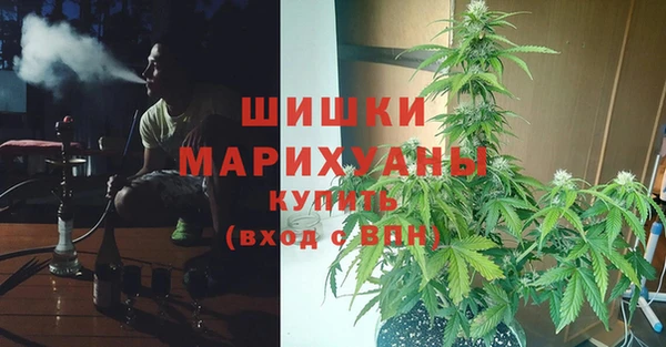 МДПВ Заволжск